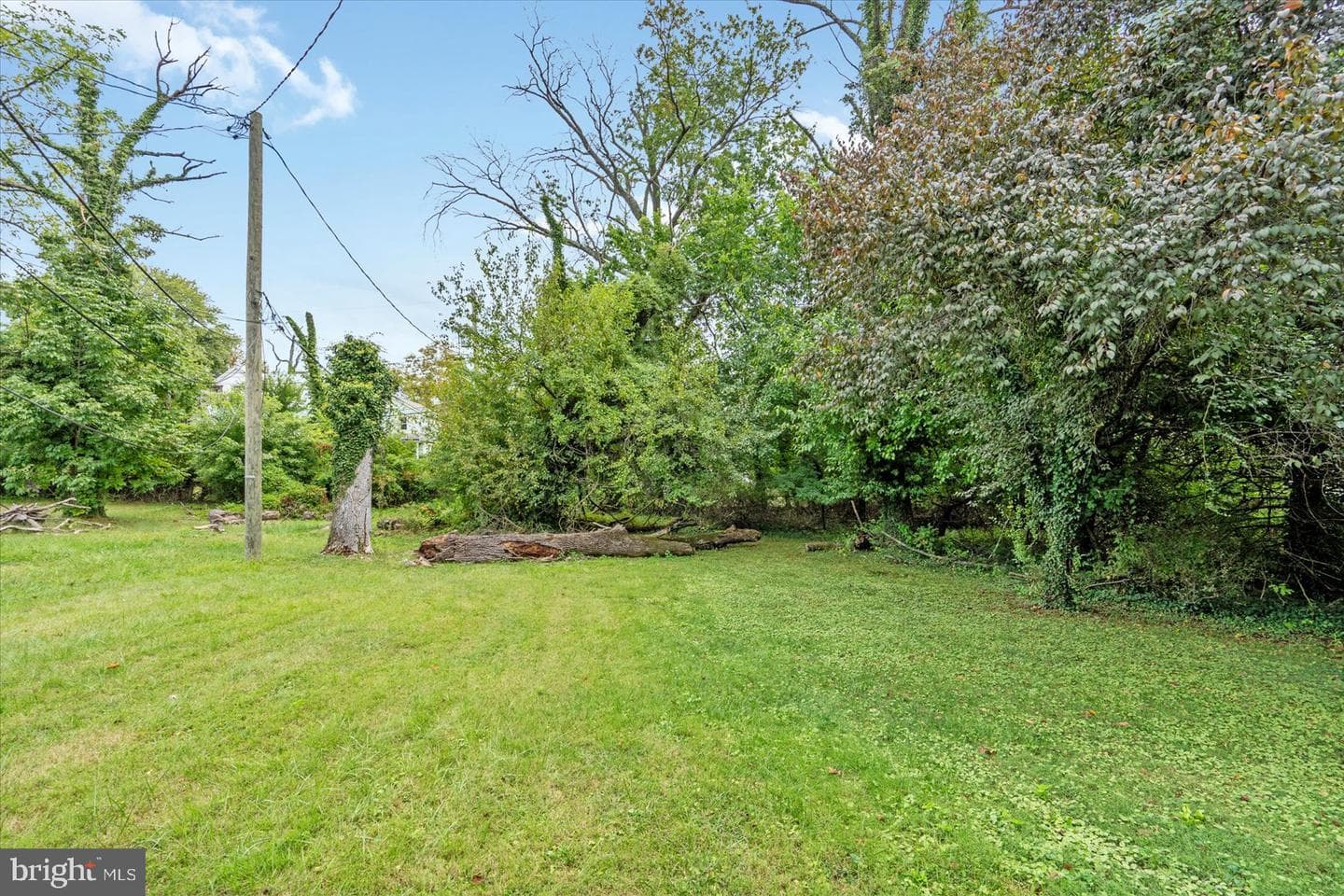 3707 Howard Park Avenue photo 44