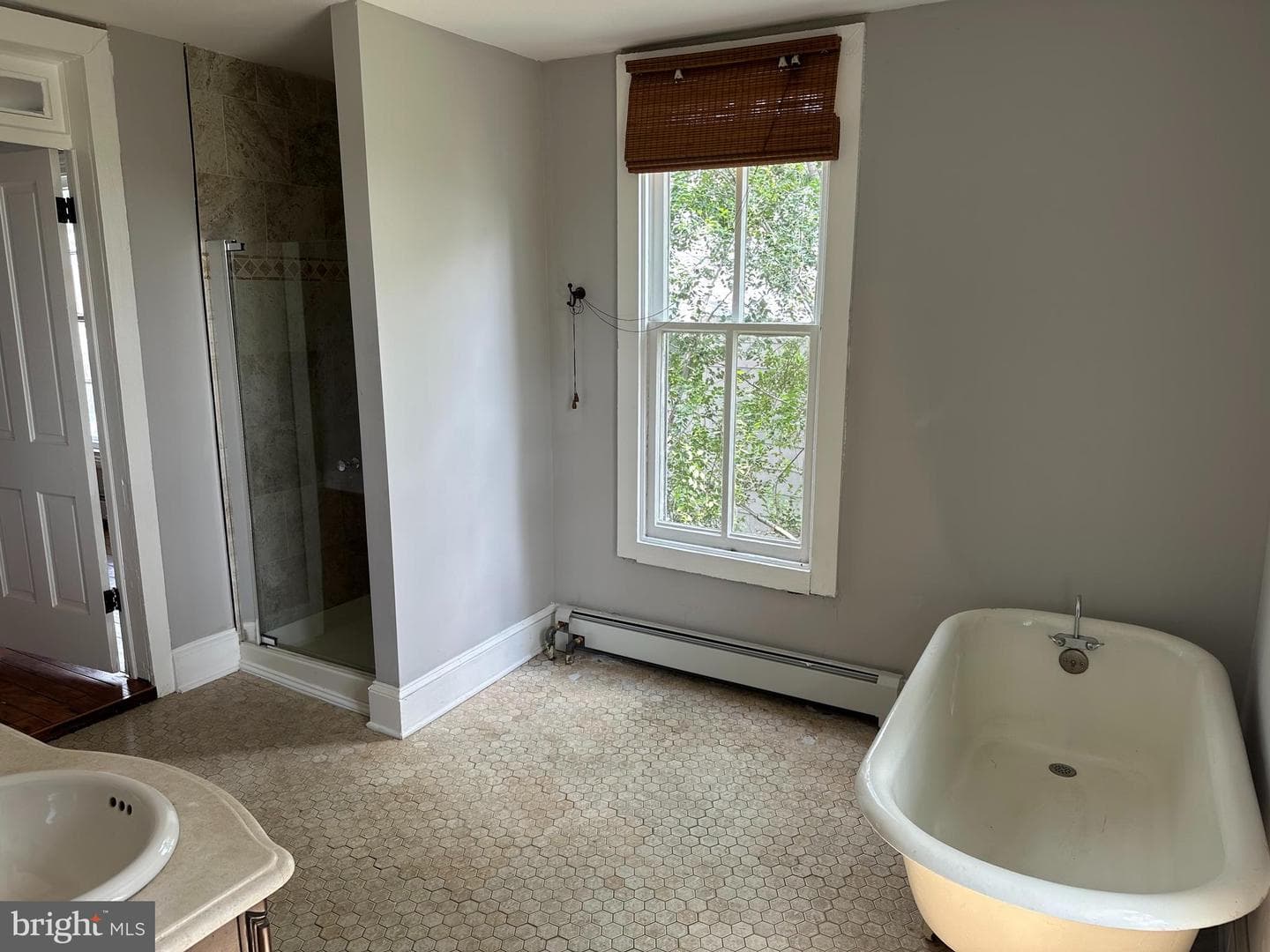 907 Homestead Street photo 18