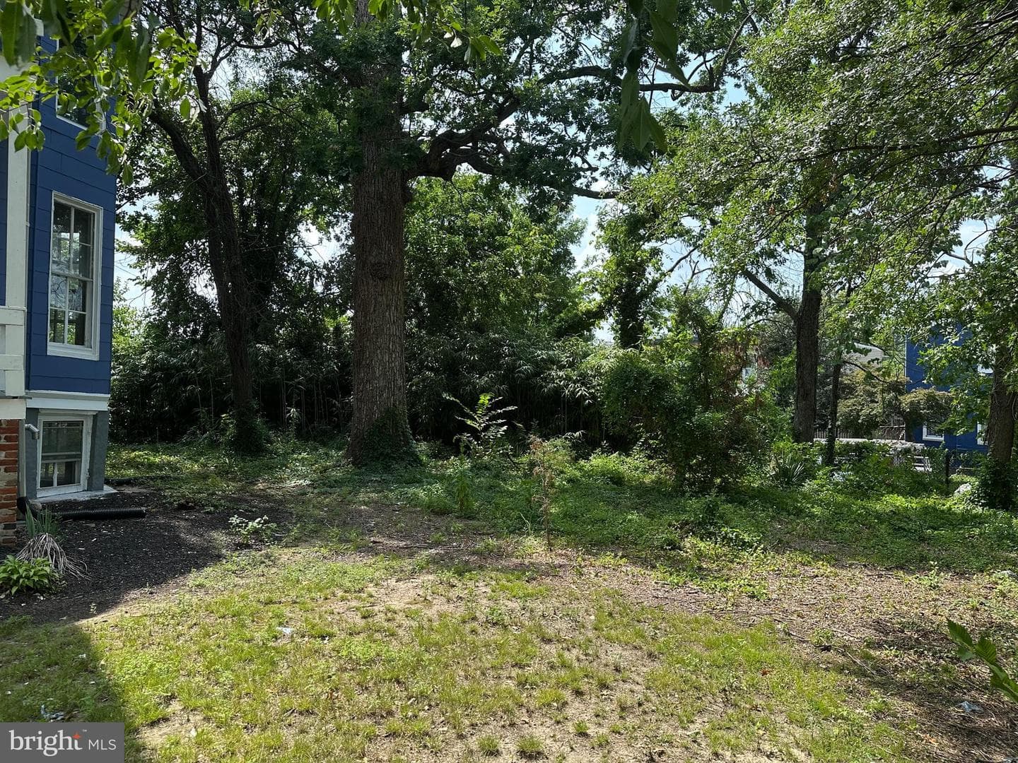 907 Homestead Street photo 30