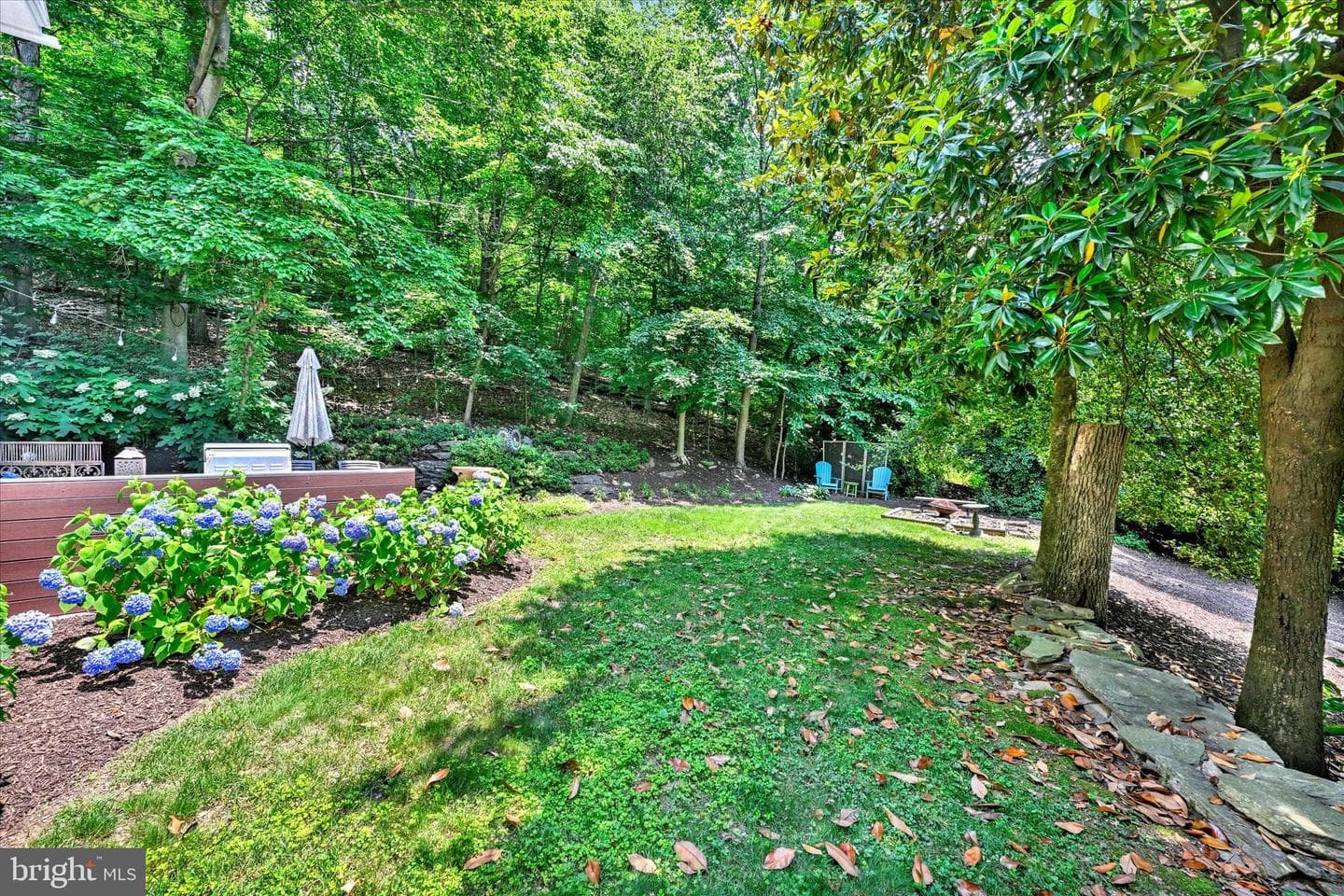 1 Merrymount Road photo 44