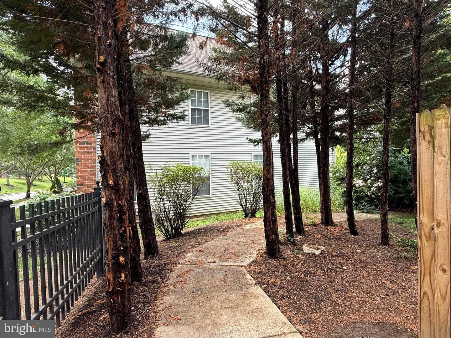 900 Argyle Avenue photo 2