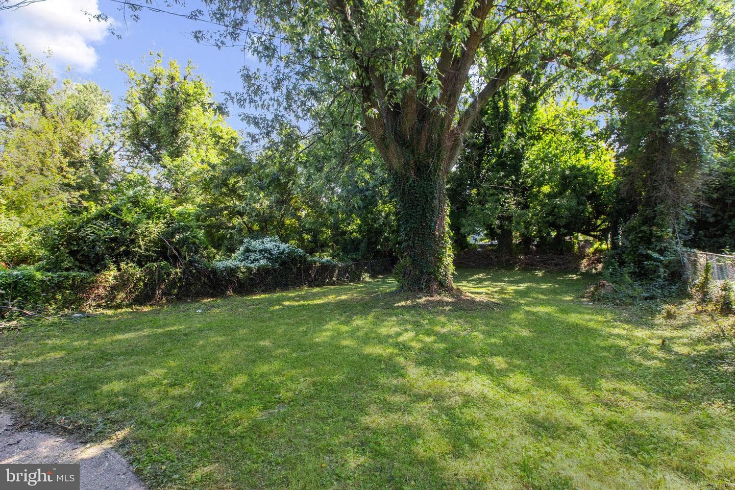 505 Mccabe Avenue photo 40