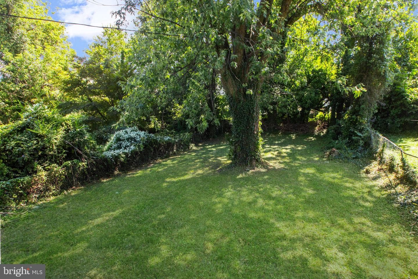 505 Mccabe Avenue photo 41