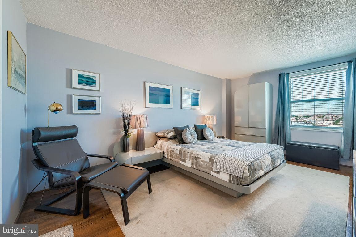1101 Saint Paul Street #1410 photo 17