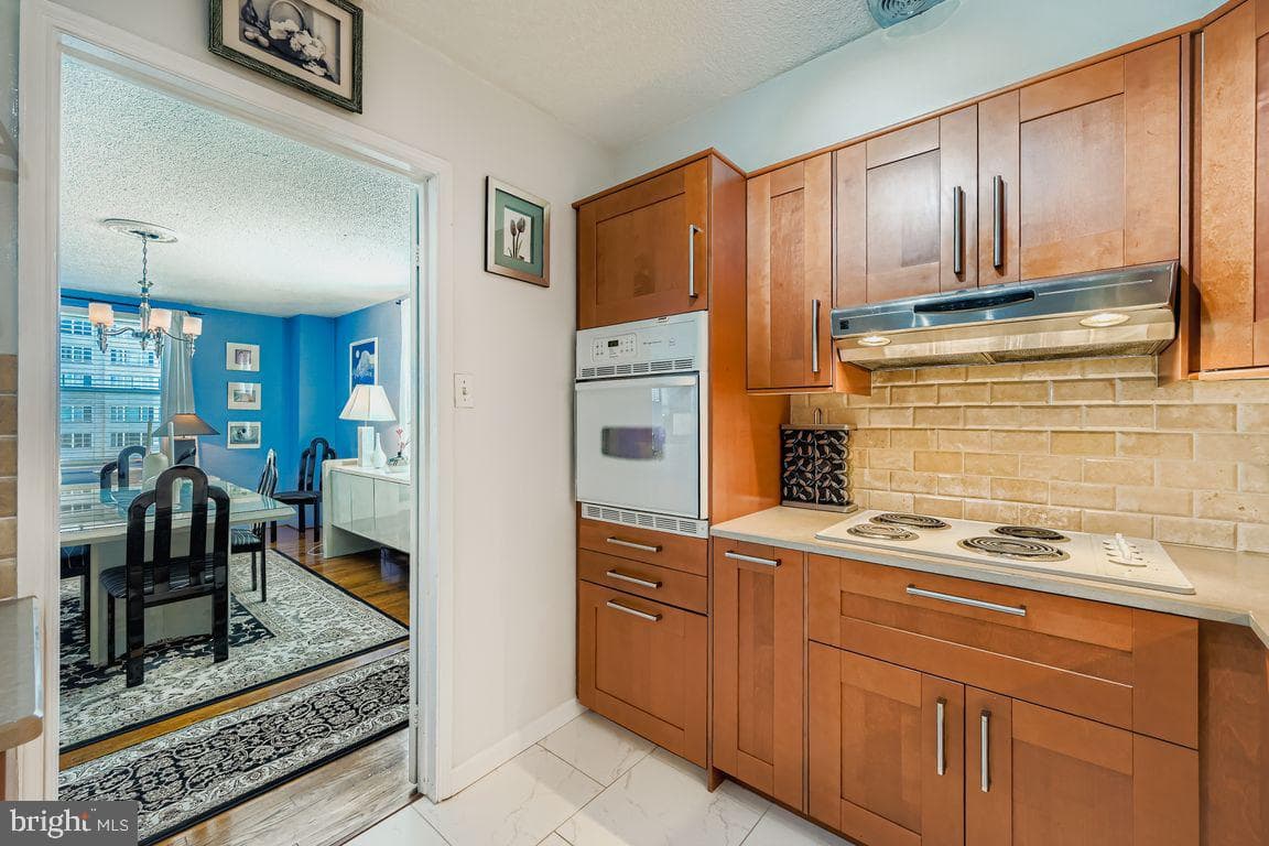 1101 Saint Paul Street #1410 photo 4