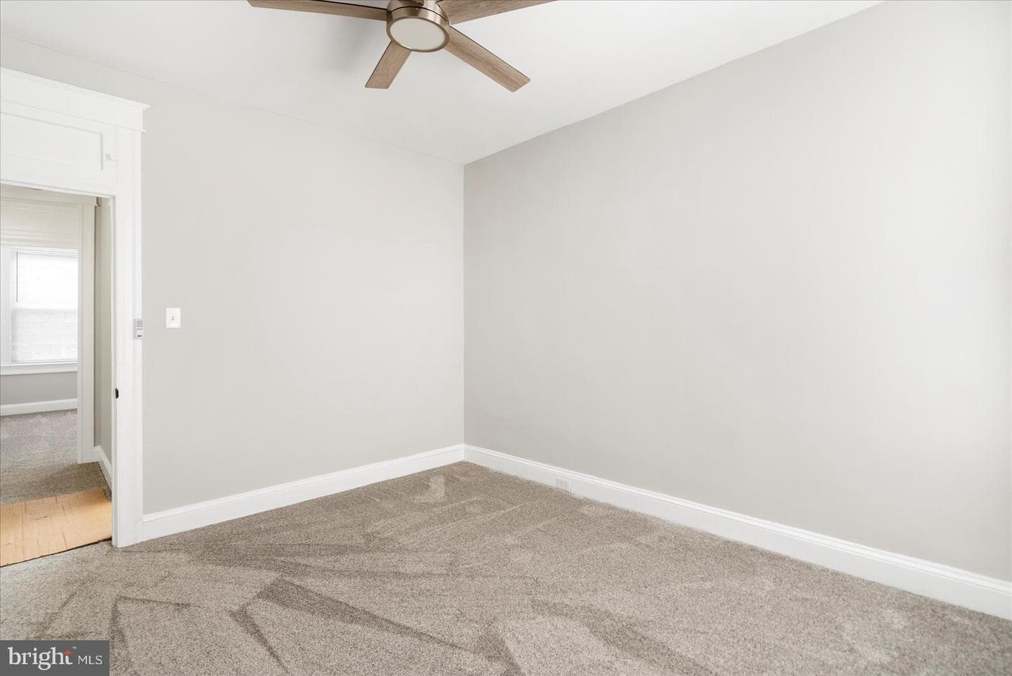 319 Lyndhurst Street photo 27