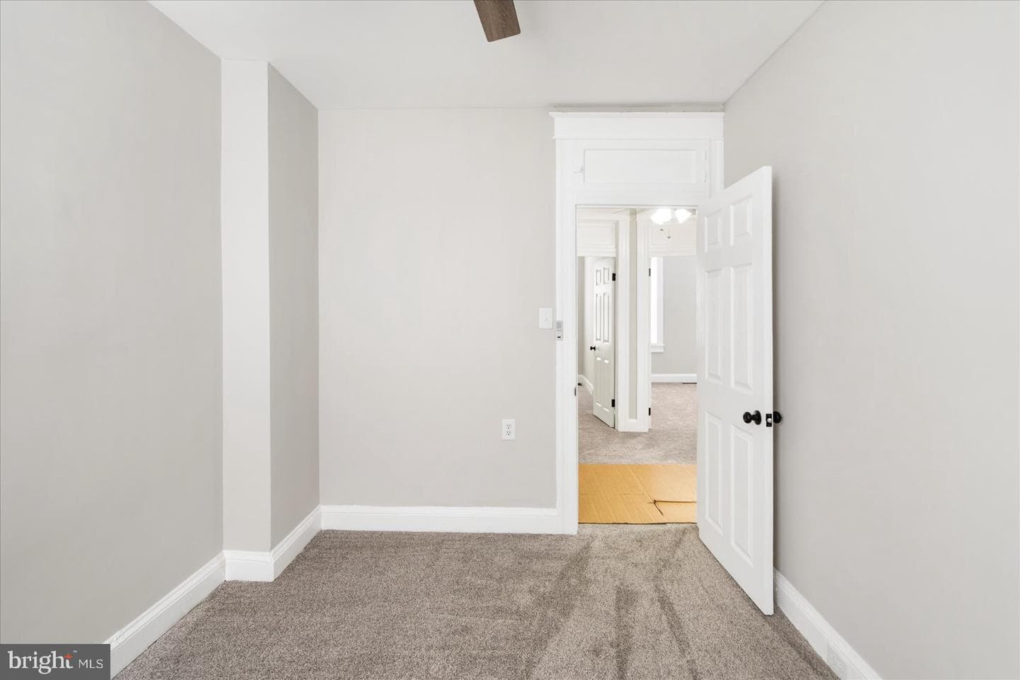 319 Lyndhurst Street photo 29