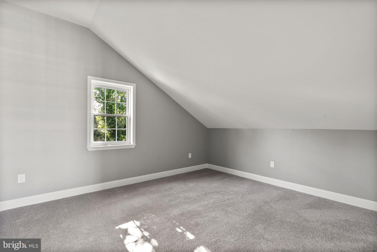 3417 Springdale Avenue photo 49