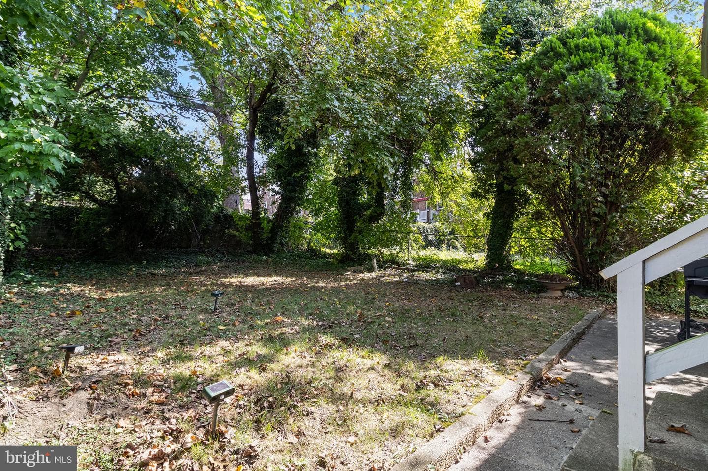 3812 Echodale Avenue photo 22