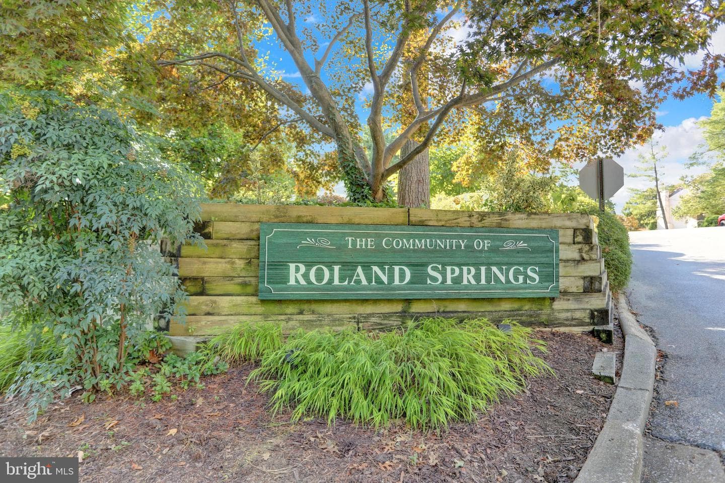 4317 Roland Spring Drive photo 41