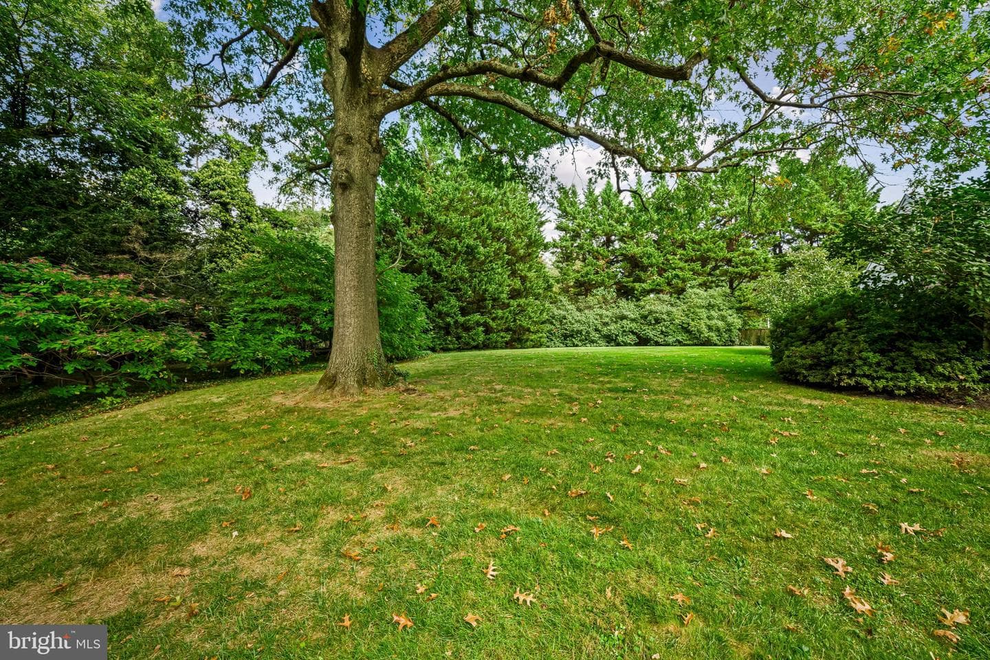 98 Cotswold Road photo 53