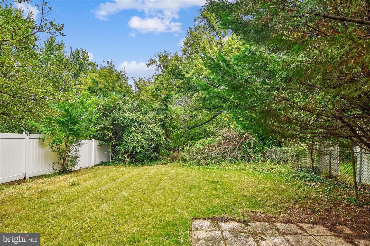 5529 Todd Avenue photo 5