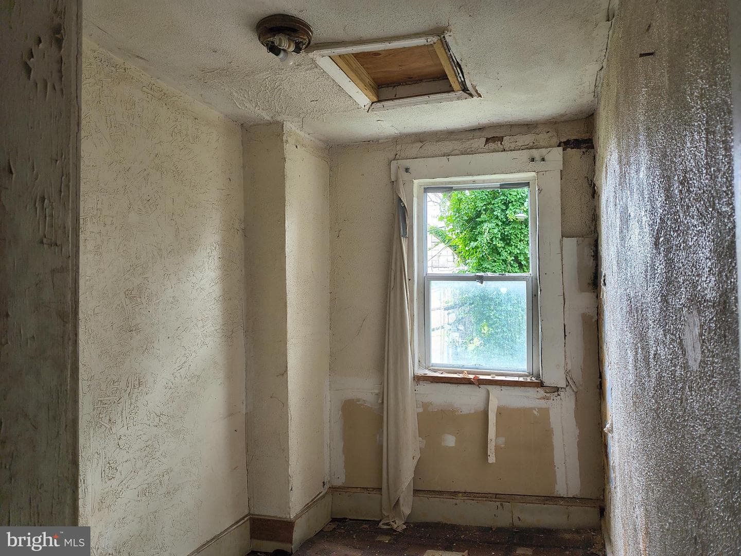 1817 Vine Street photo 8