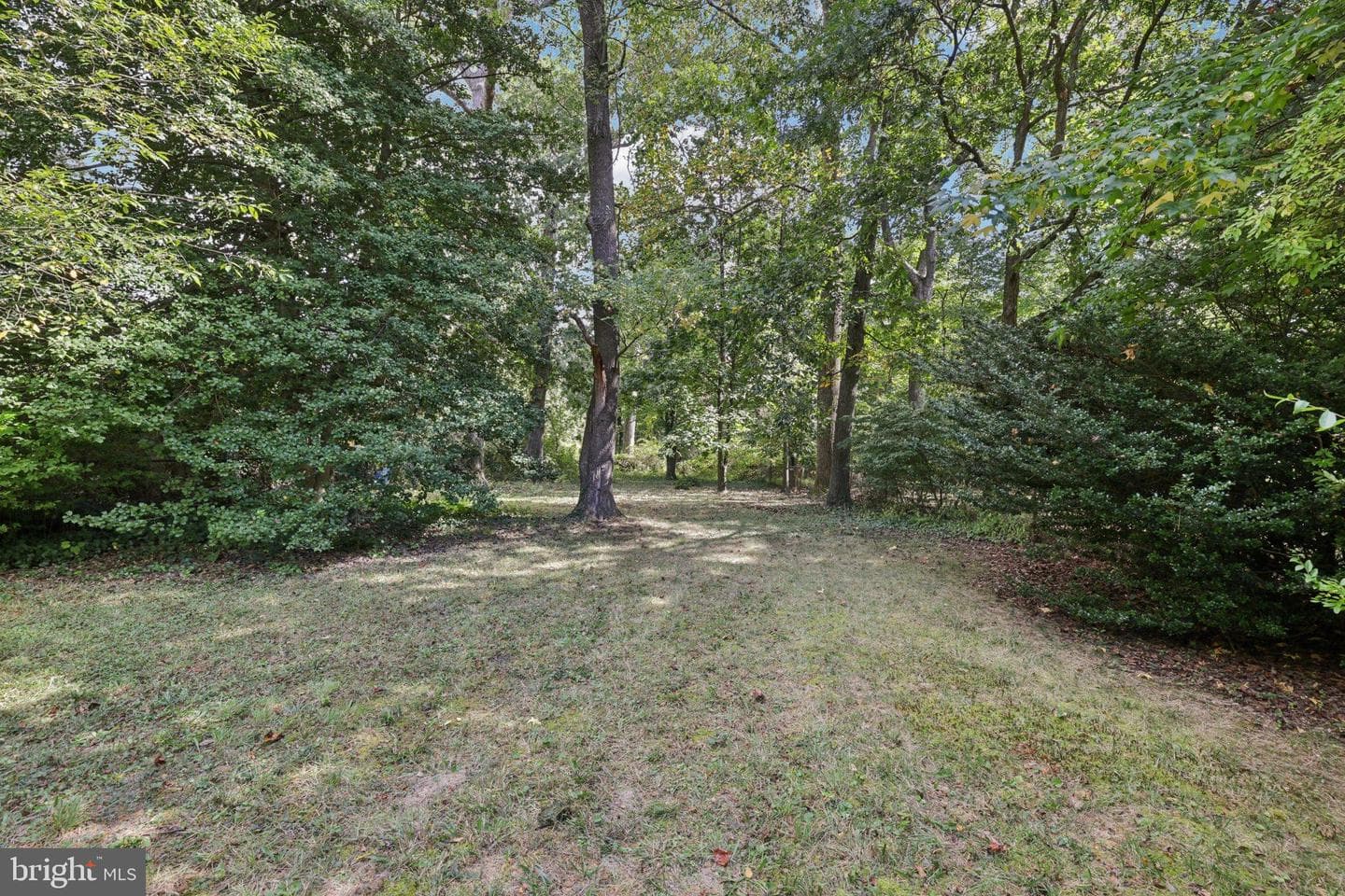 6907 Moyer Avenue photo 44