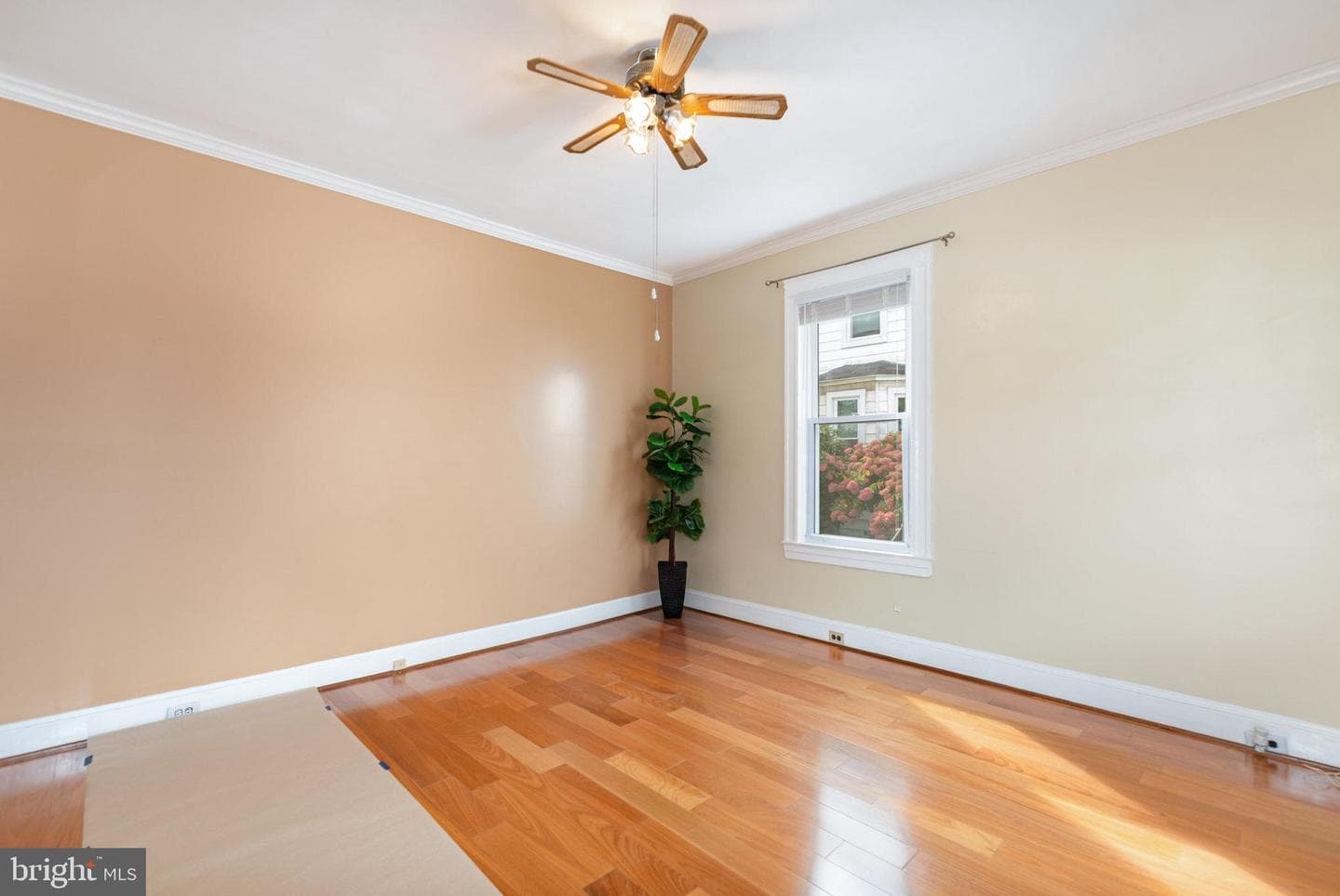 5005 Catalpha Road photo 5