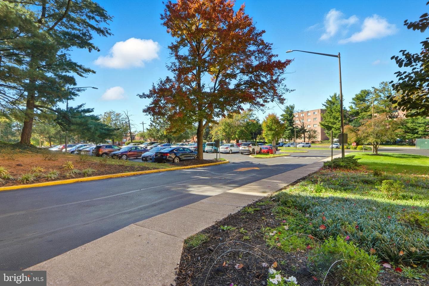 6317 Park Heights Avenue #404 photo 25
