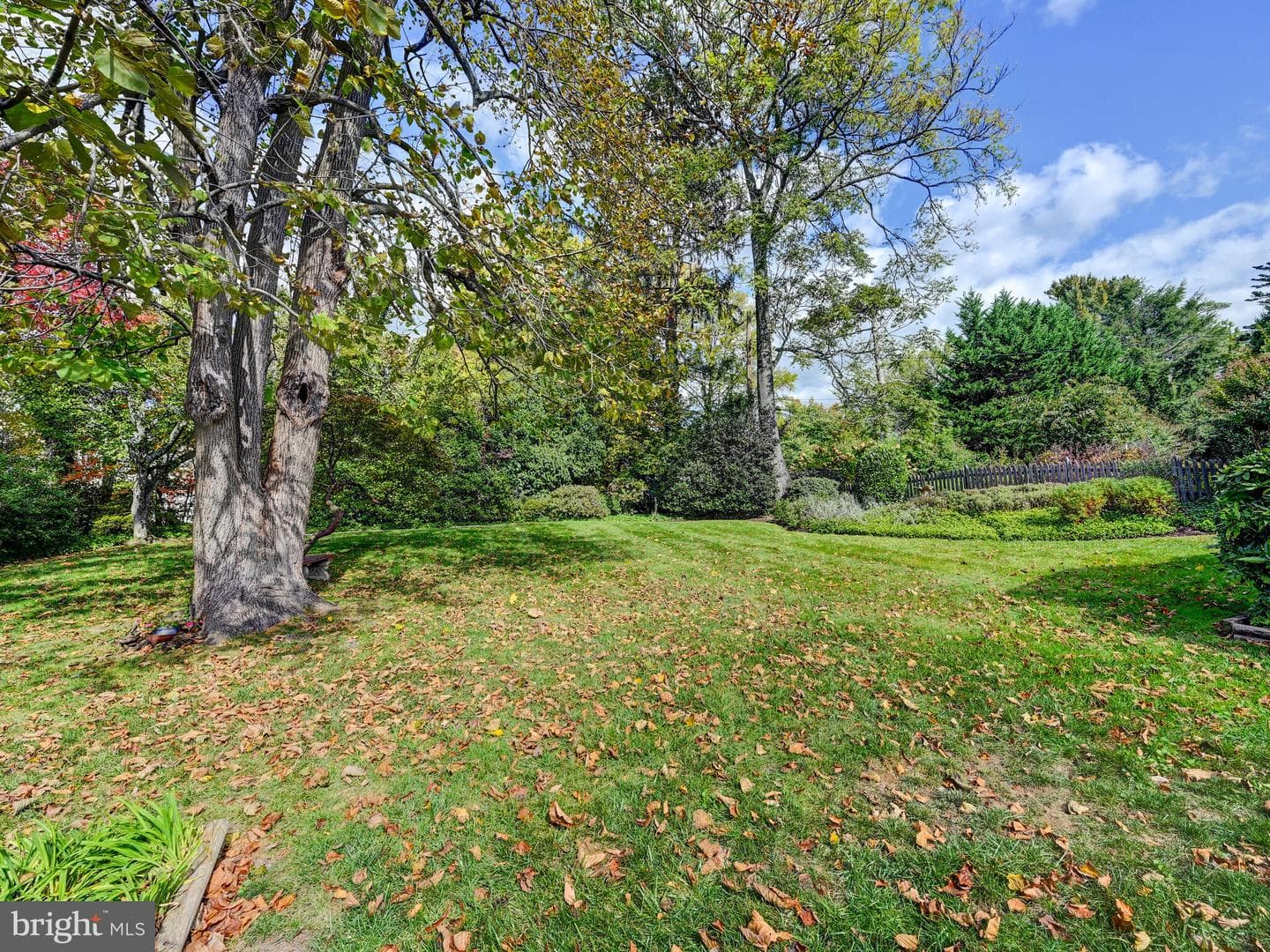116 Castlewood Road photo 37
