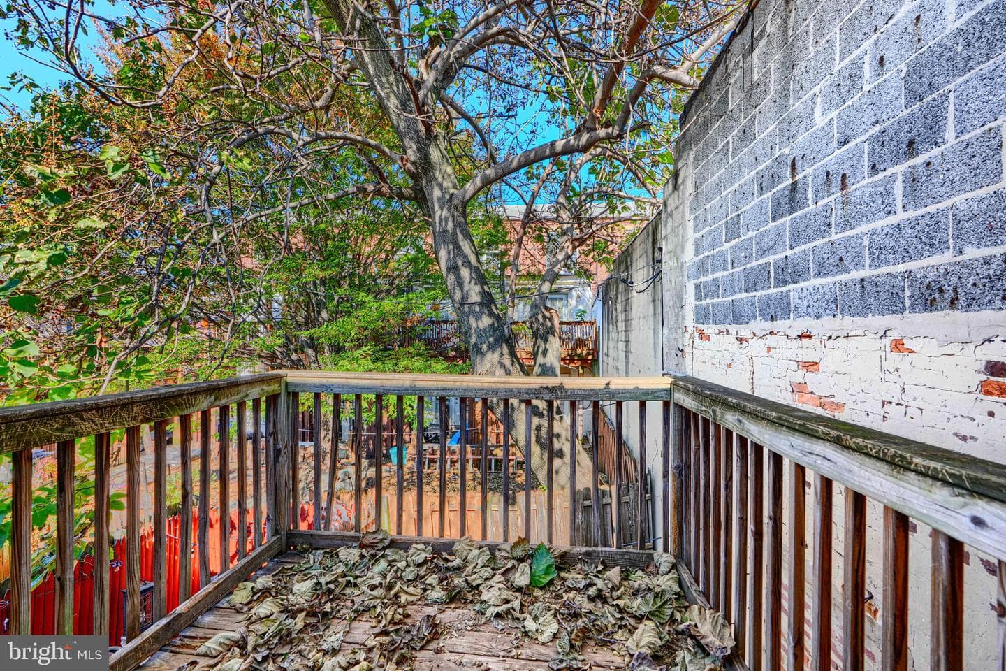 864 Carroll Street photo 14