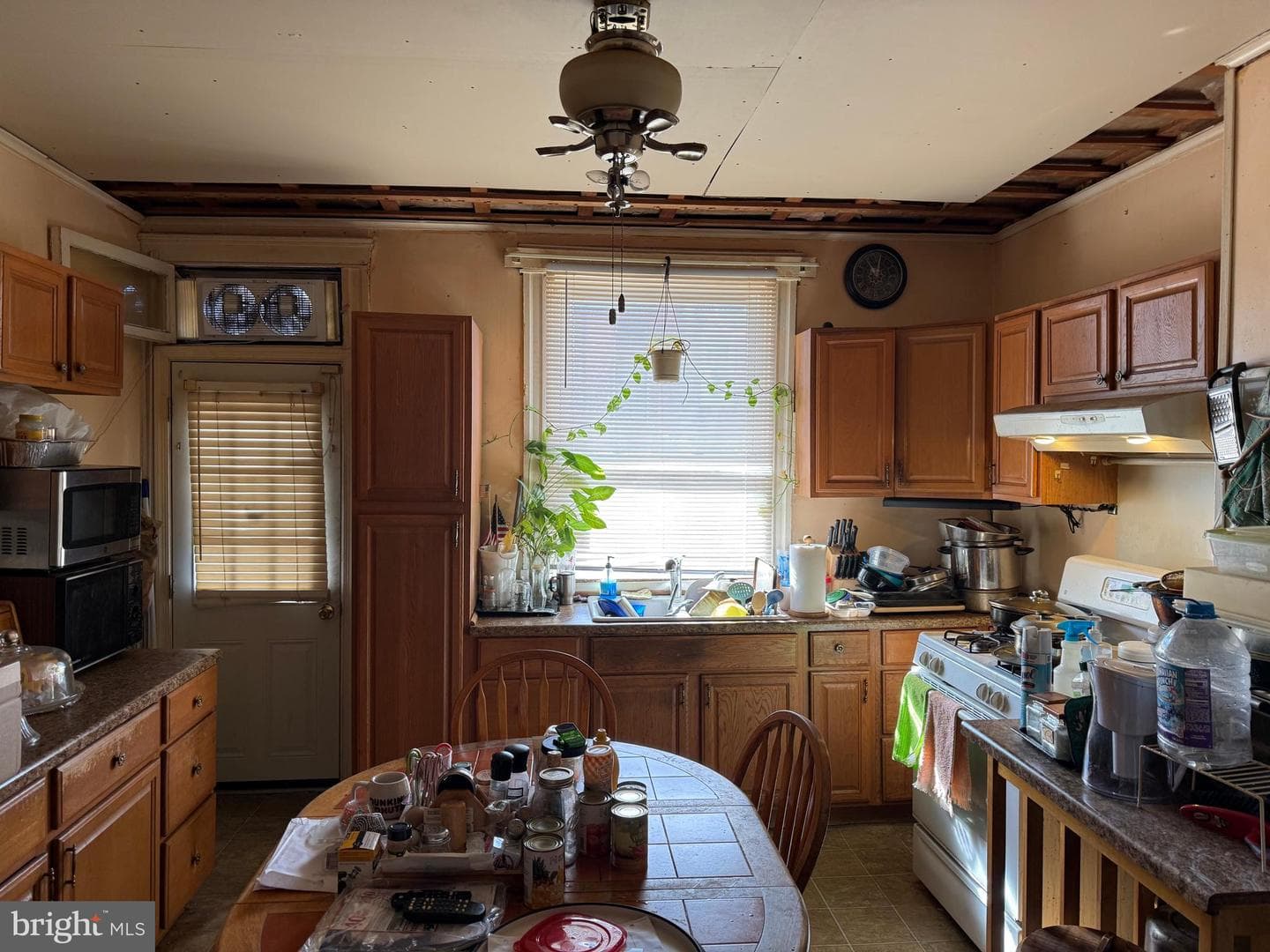 429 Ilchester Avenue photo 5