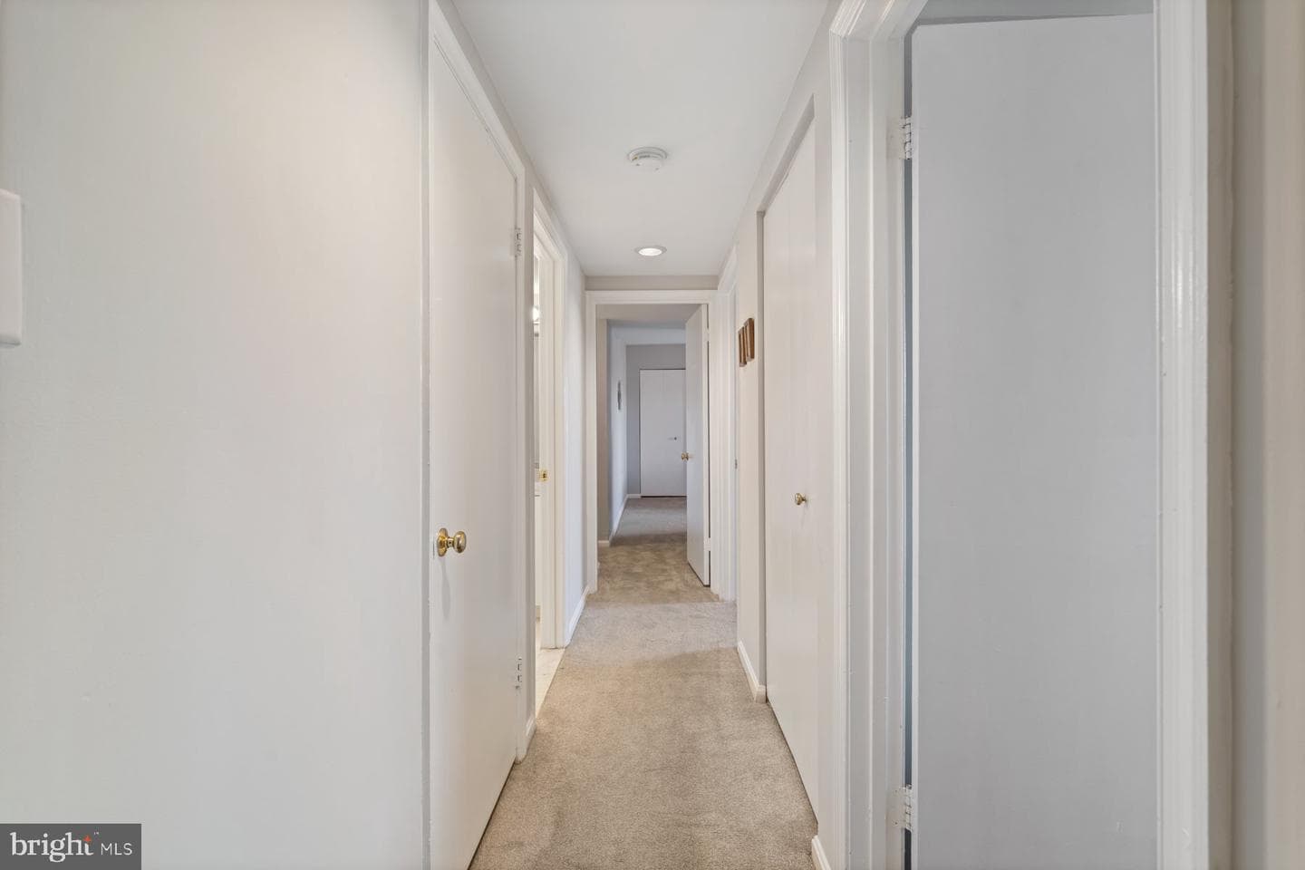 1040 Deer Ridge Drive #402 photo 18