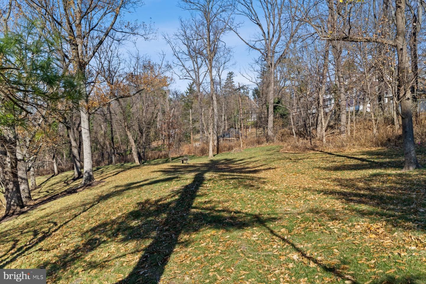 1040 Deer Ridge Drive #402 photo 33