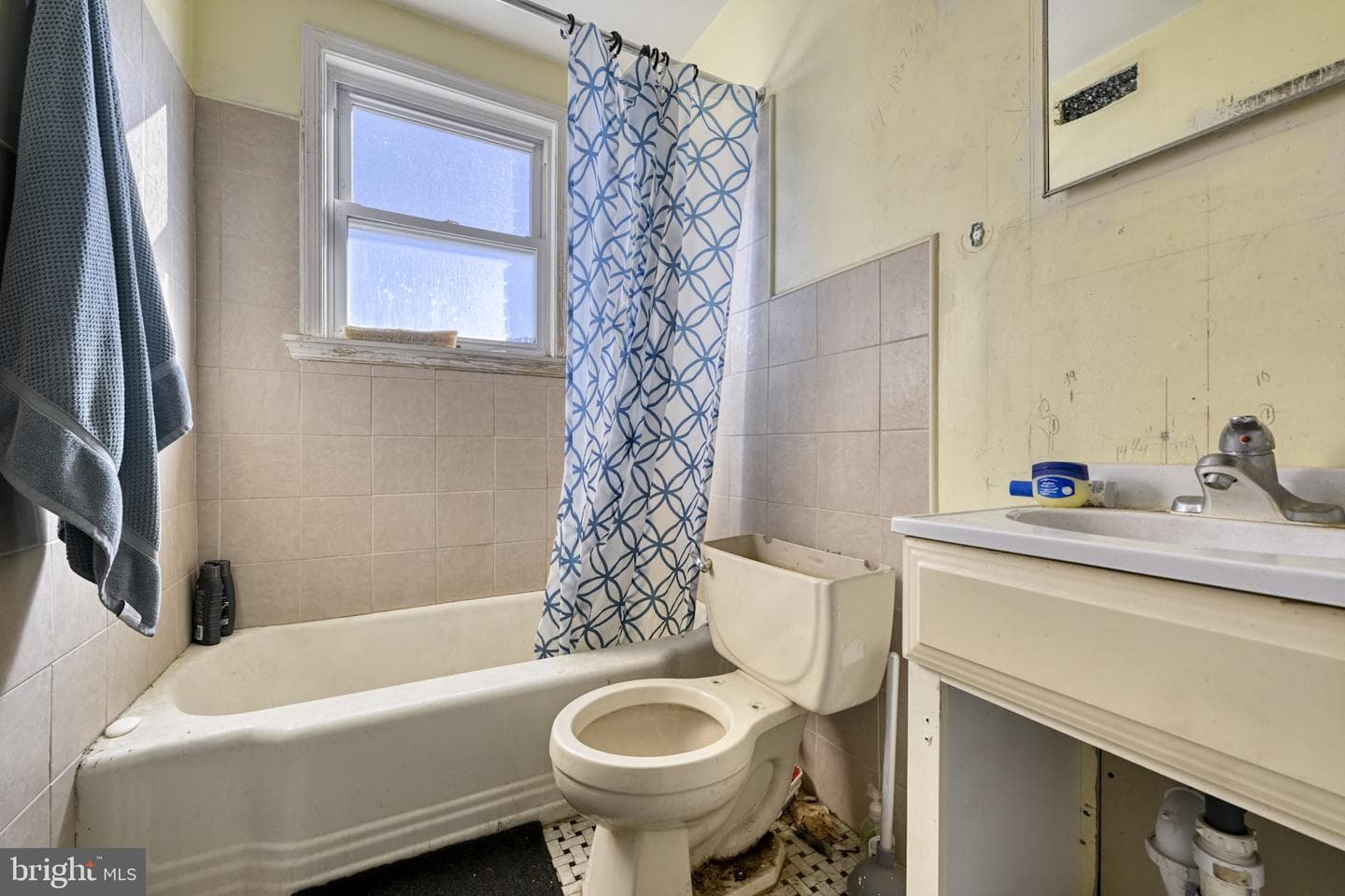 466 Hornel Street photo 11