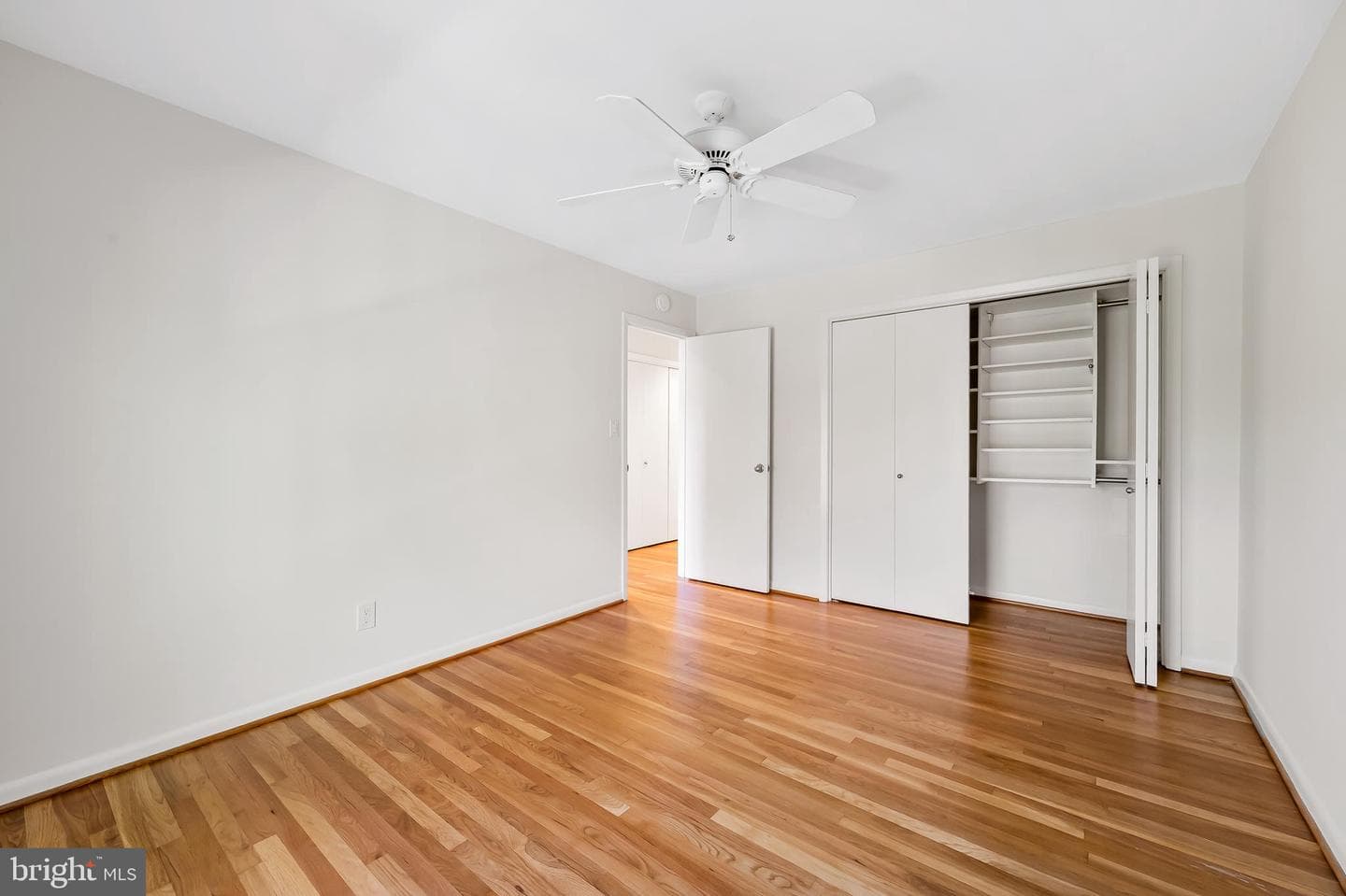 20 Palmer Green Court photo 29