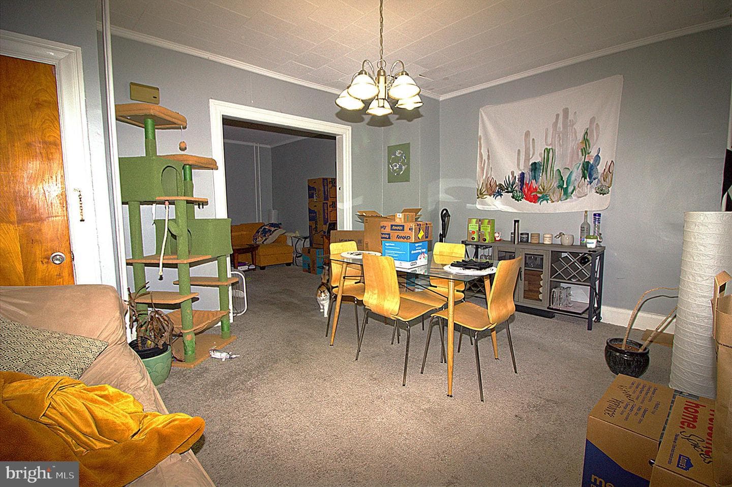 520 Tolna Street photo 4