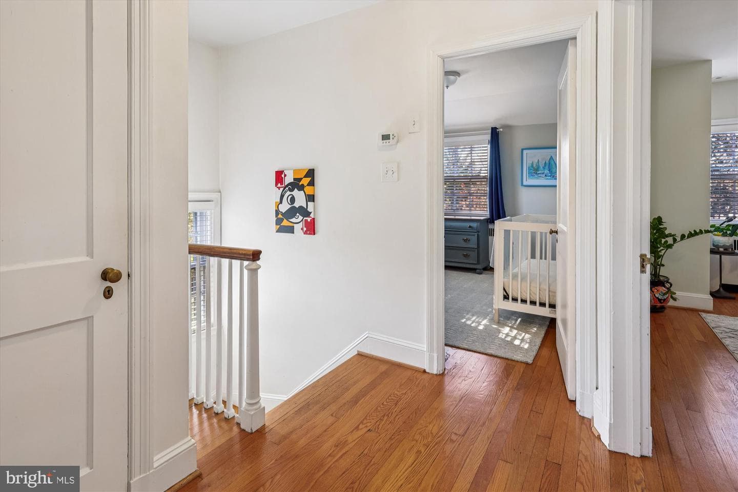7 Southfield Place photo 13
