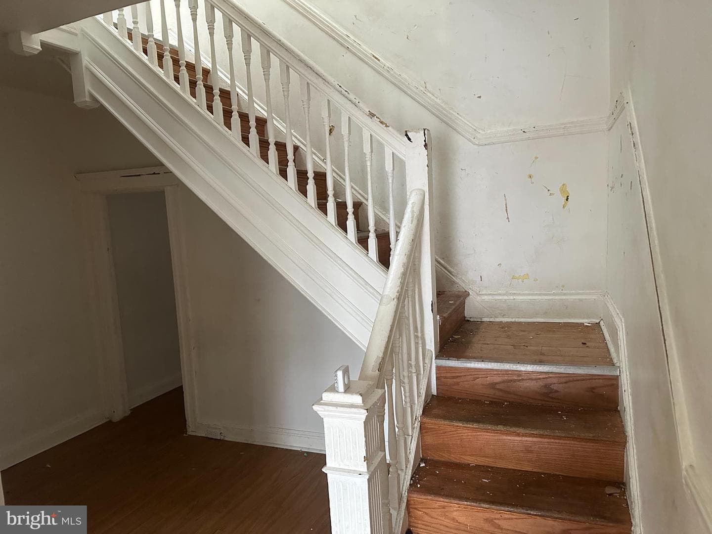 2115 Westwood Avenue photo 3