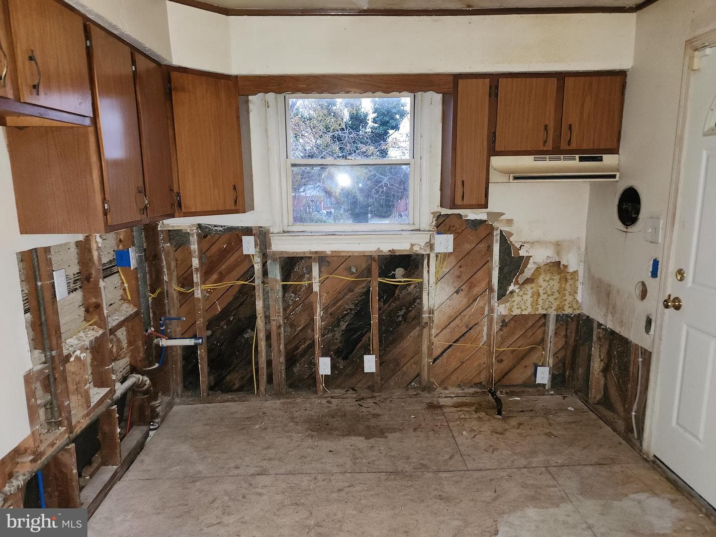 4900 Anntana Avenue photo 7