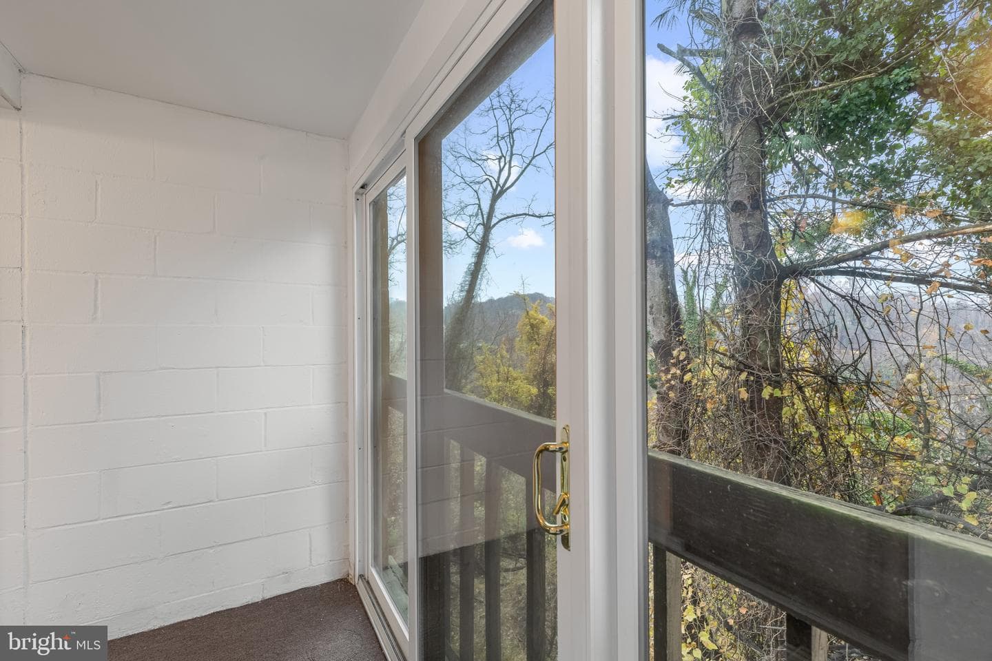 1701 Mount Washington Court #k photo 13