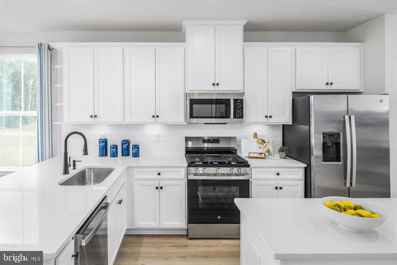 2931 Maisel Street #clarendon 3 St photo 2