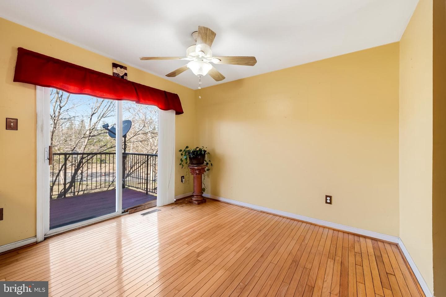 252 Robert Street photo 20
