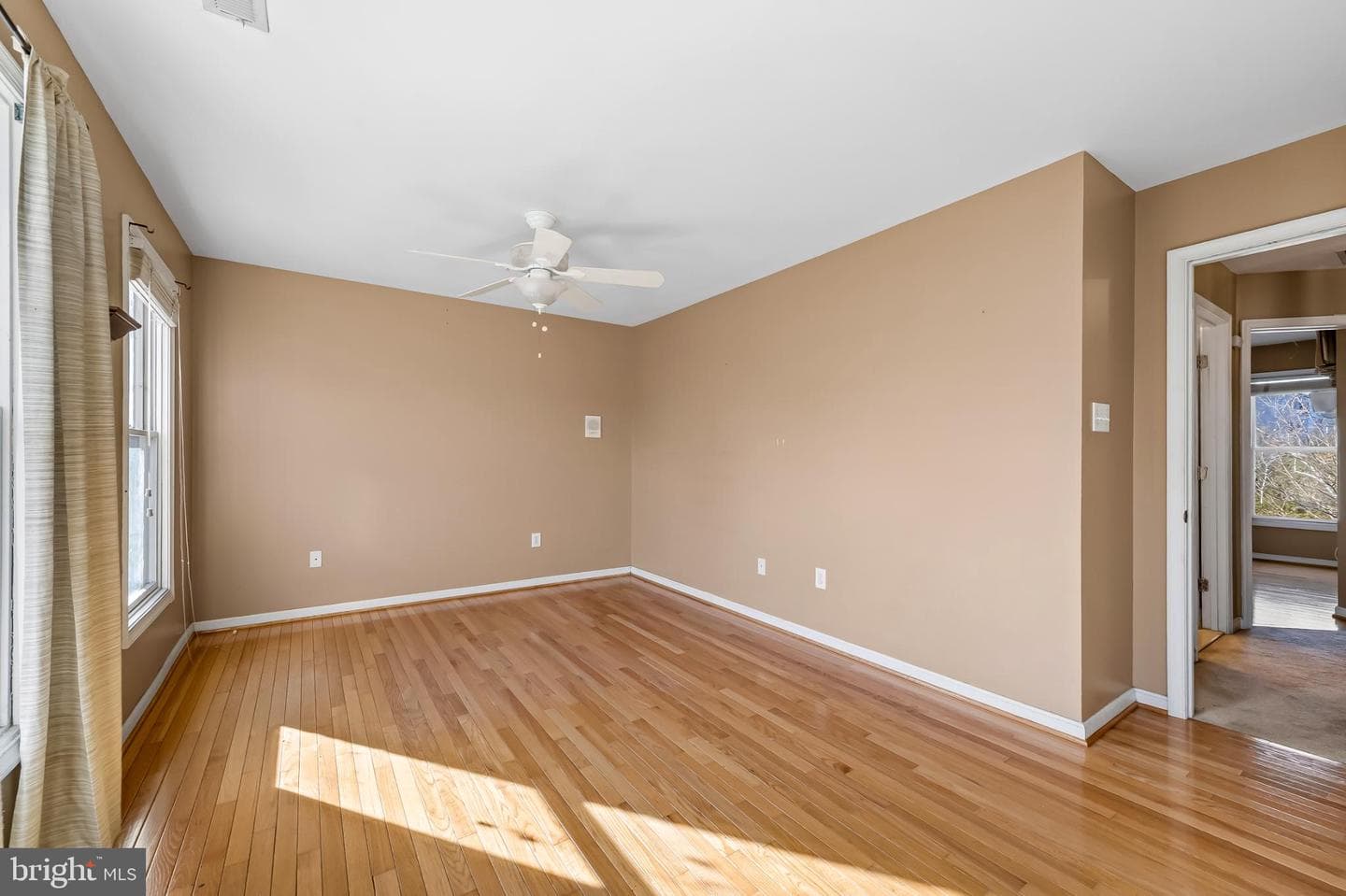 252 Robert Street photo 32