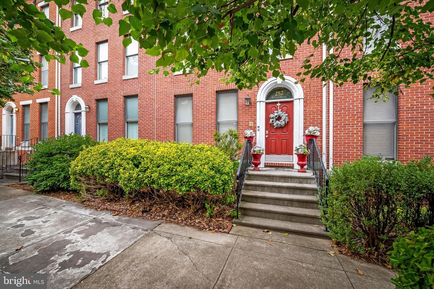 252 Robert Street photo 44