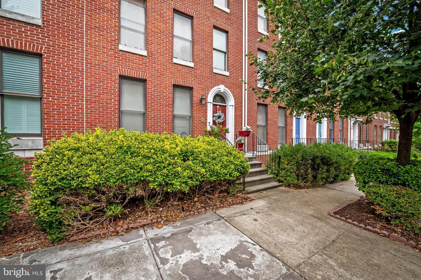 252 Robert Street photo 45
