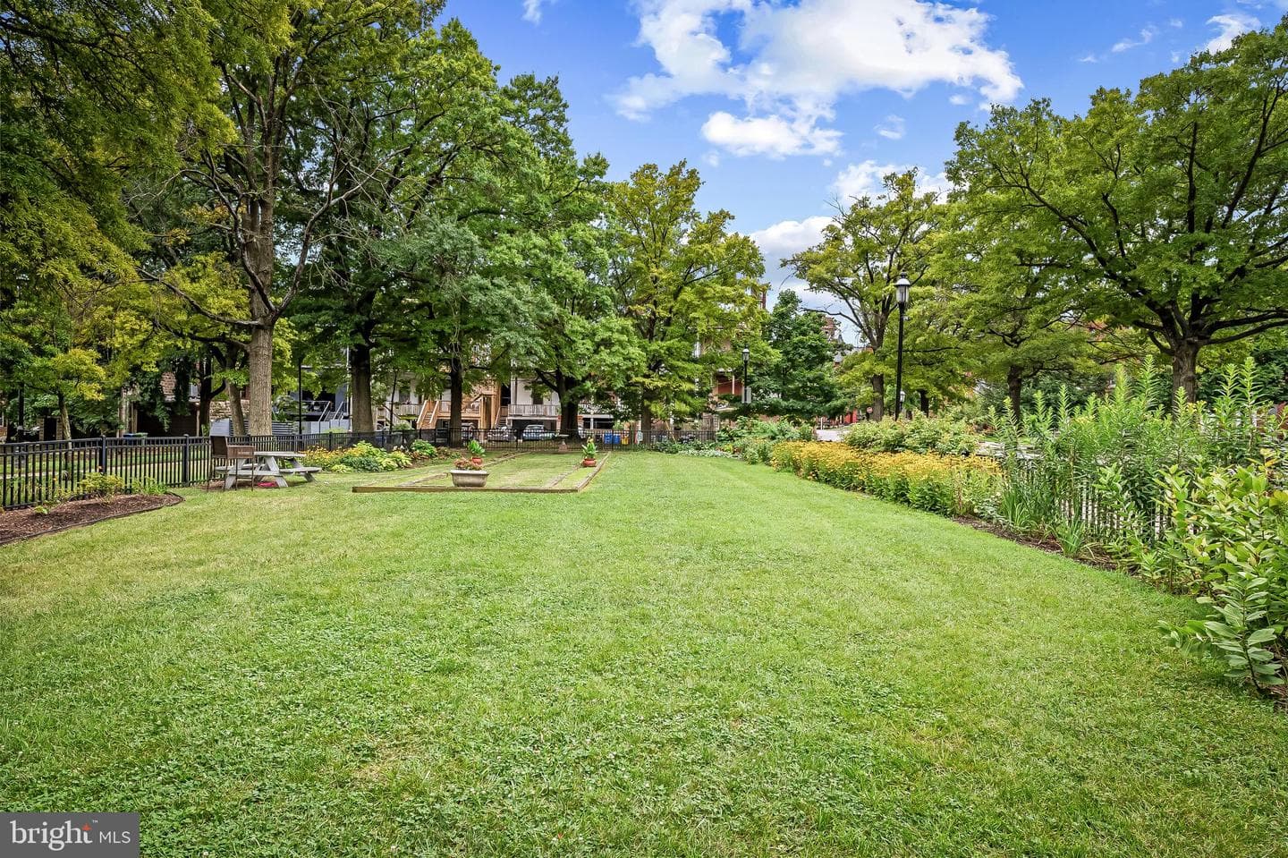 252 Robert Street photo 51