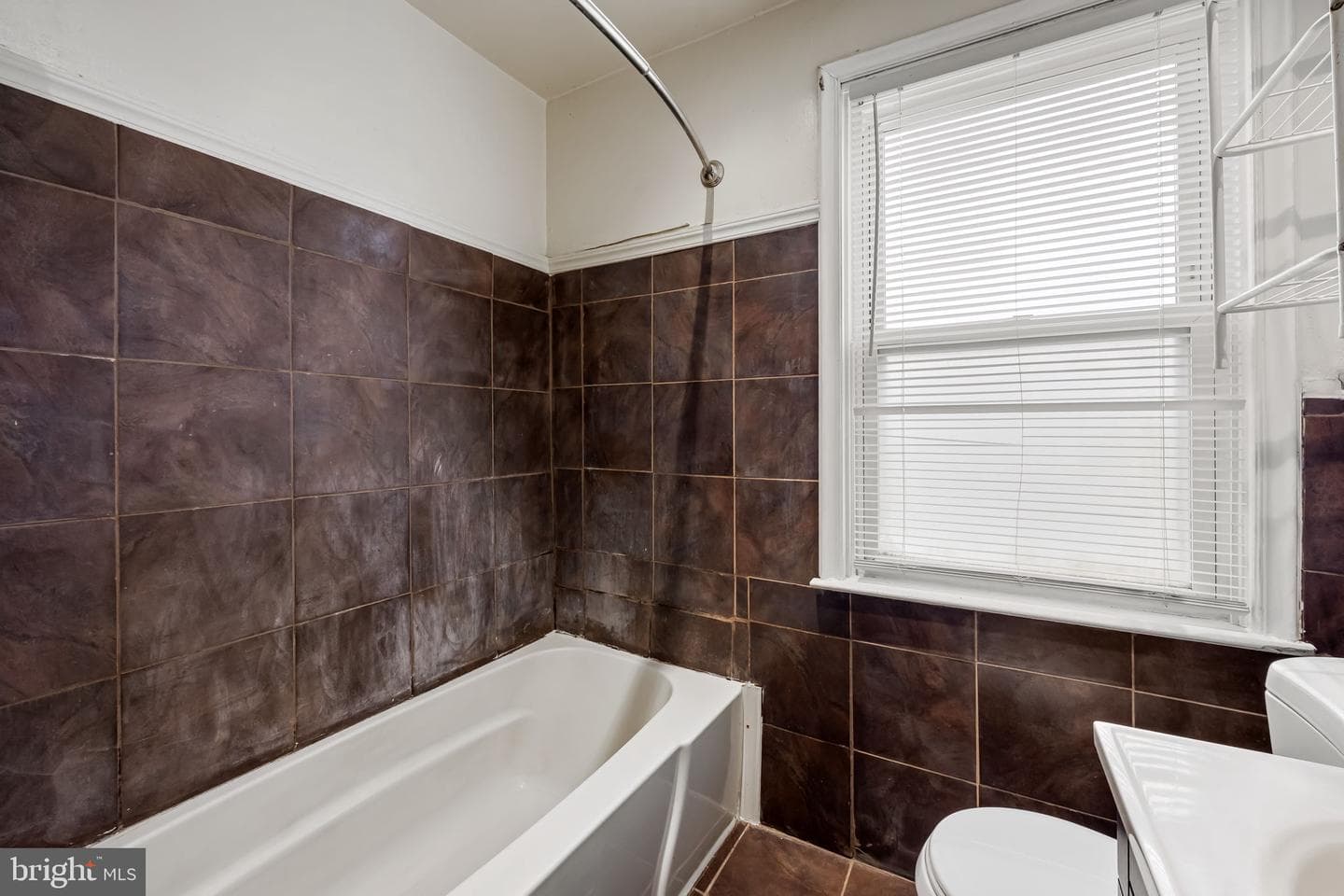 3517 Elmora Avenue photo 20