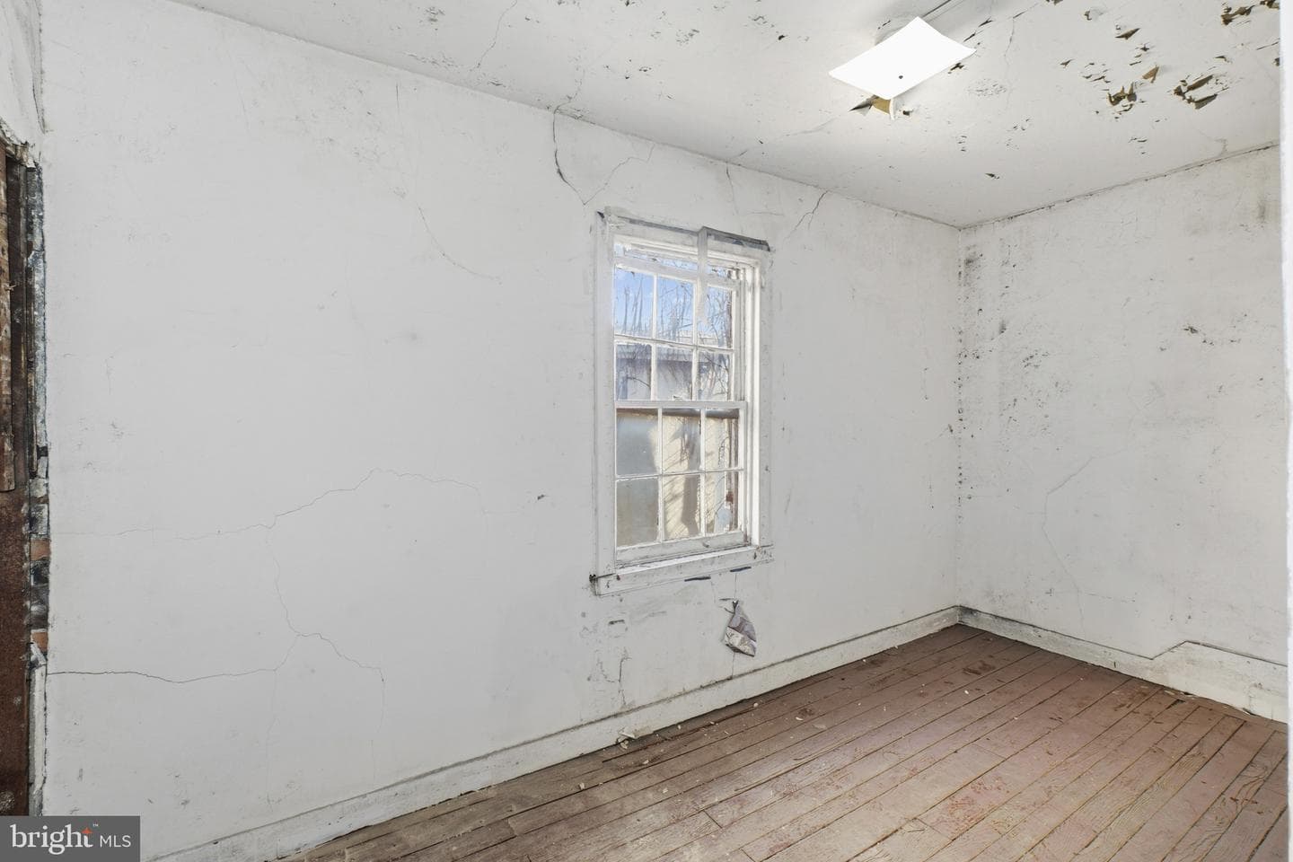 1719 W Lombard Street photo 6