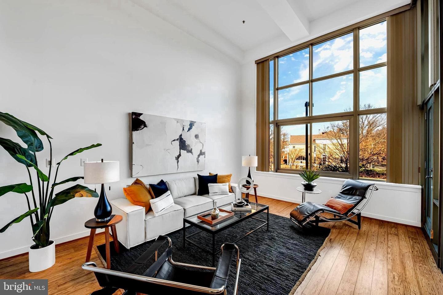 2901 Boston Street #204 photo 6
