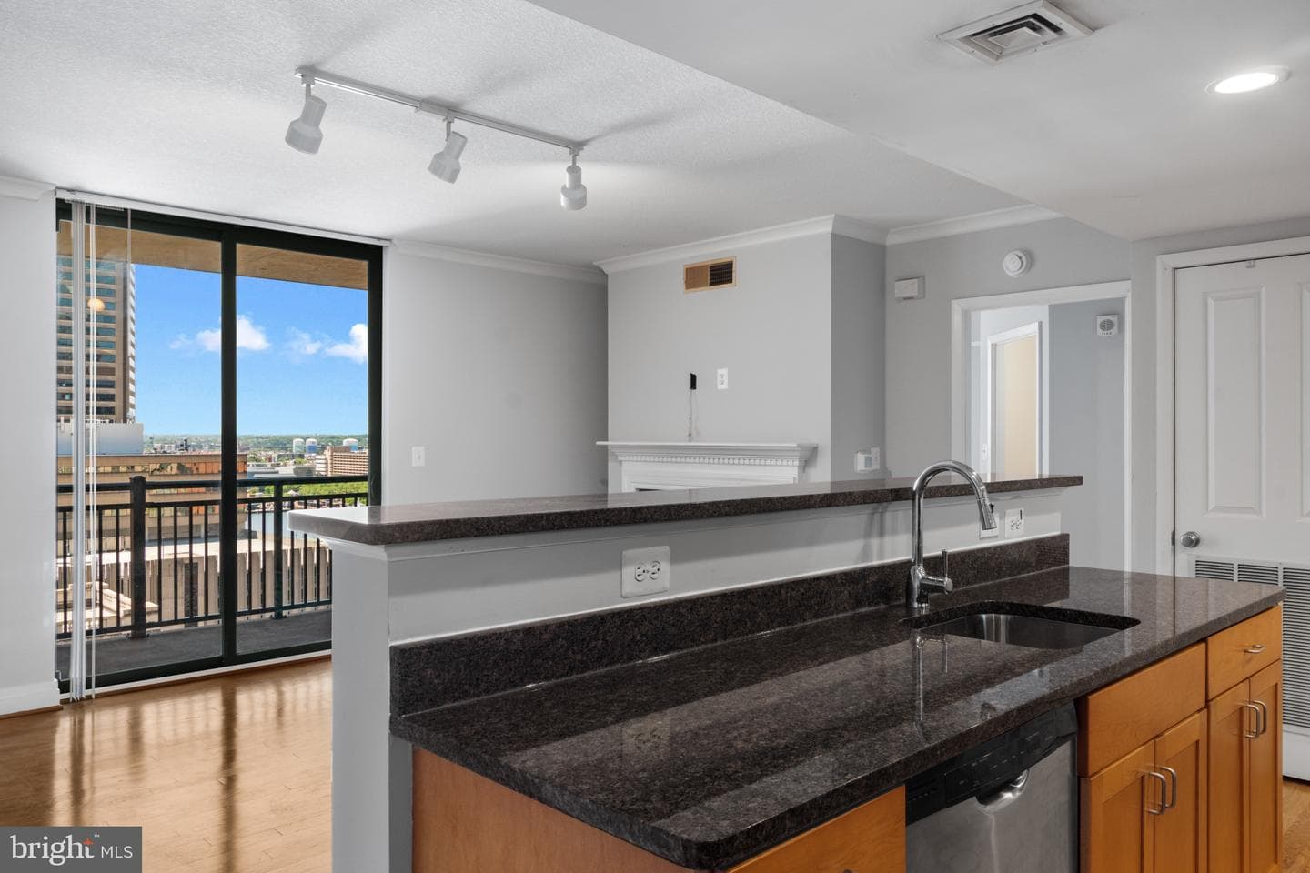 414 Water Street #1315 photo 8