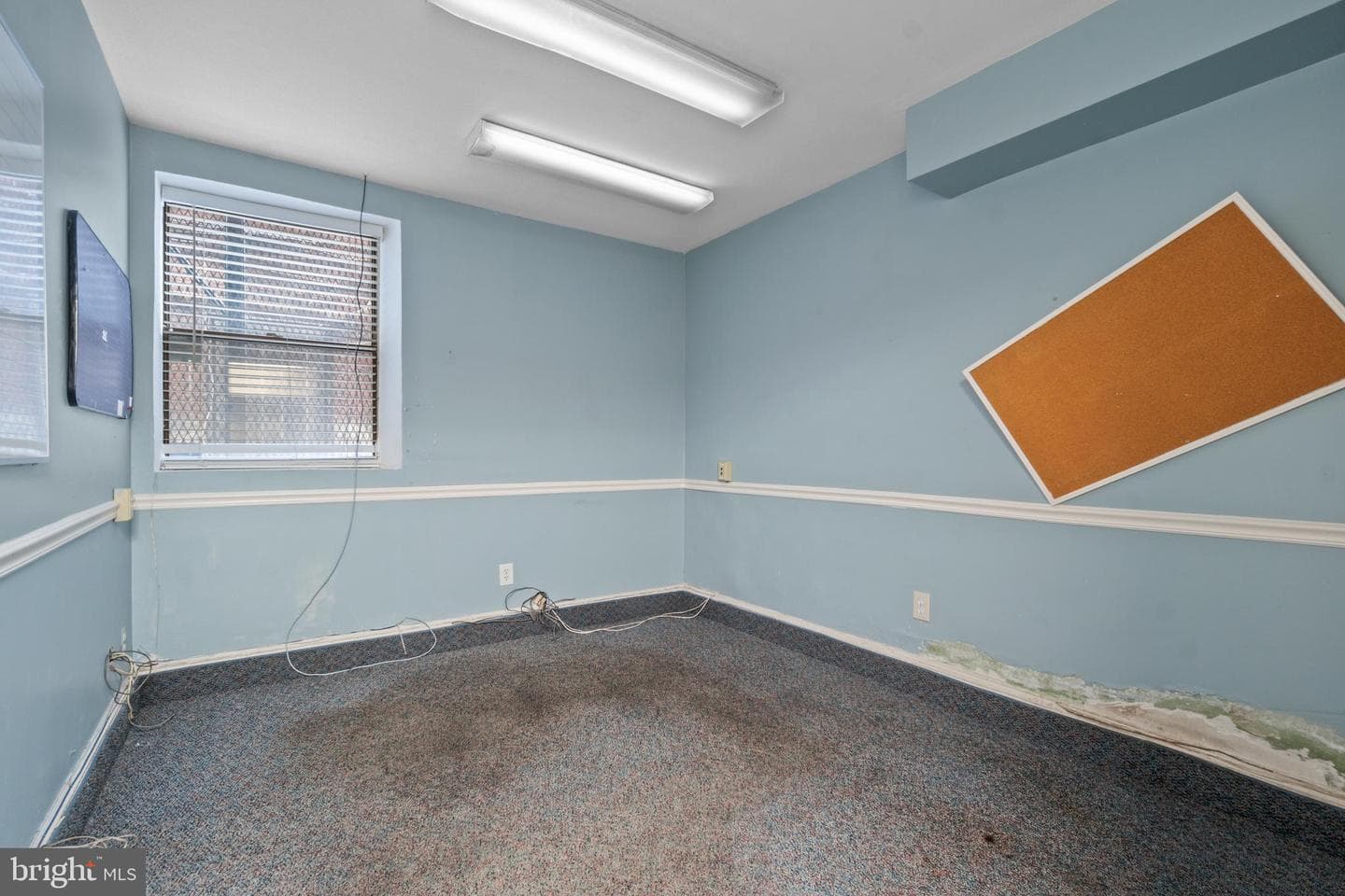 1118 Saint Paul Street #1 photo 3