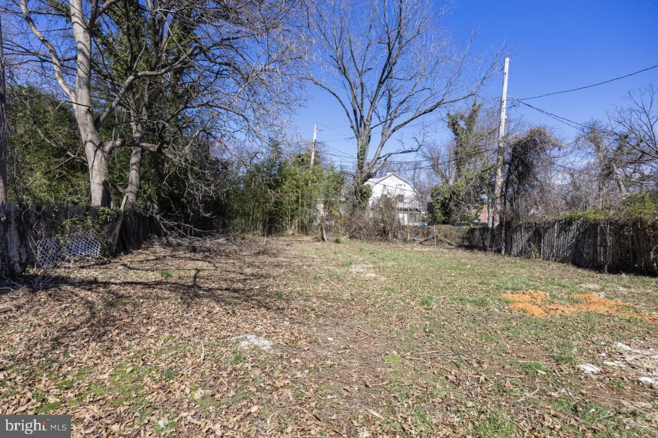 3908 Primrose Avenue photo 19