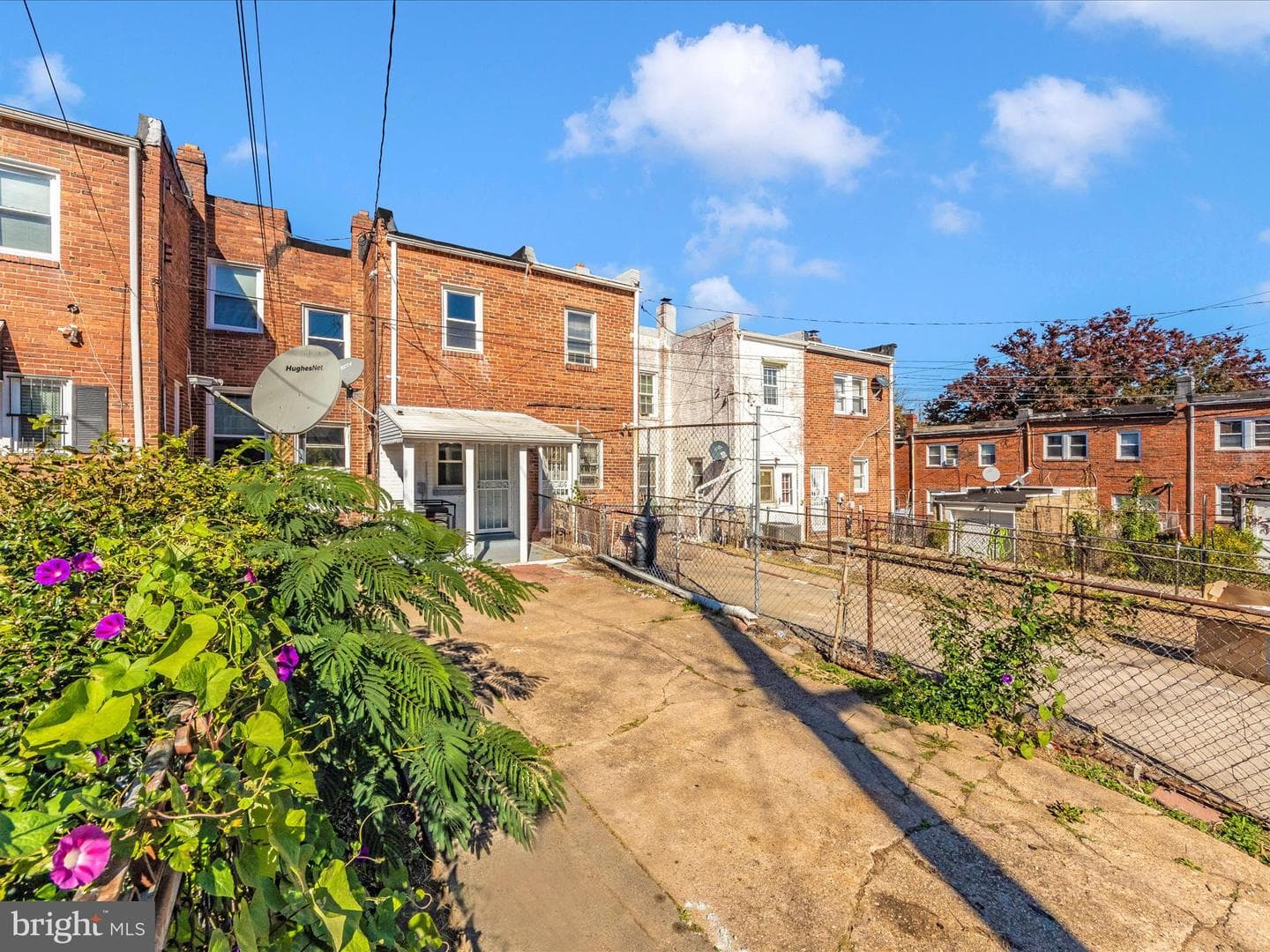3707 Colborne Road photo 43