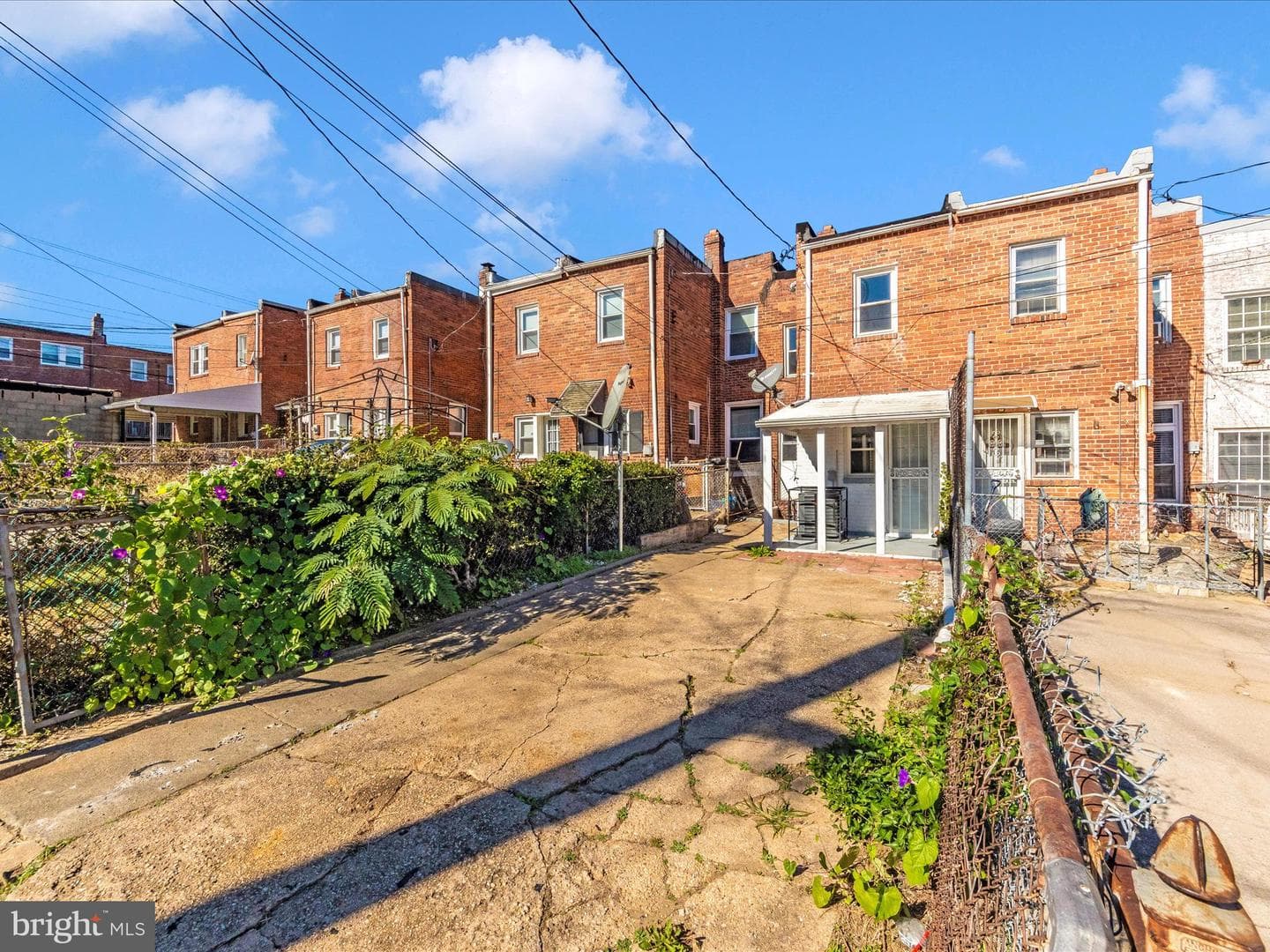 3707 Colborne Road photo 45