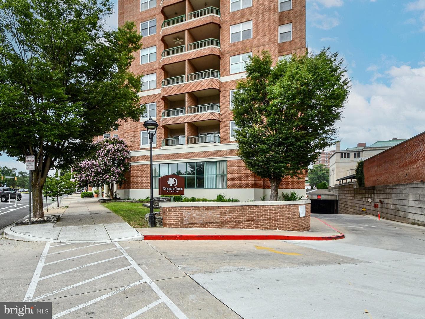 3801 Canterbury Road #710 photo 4