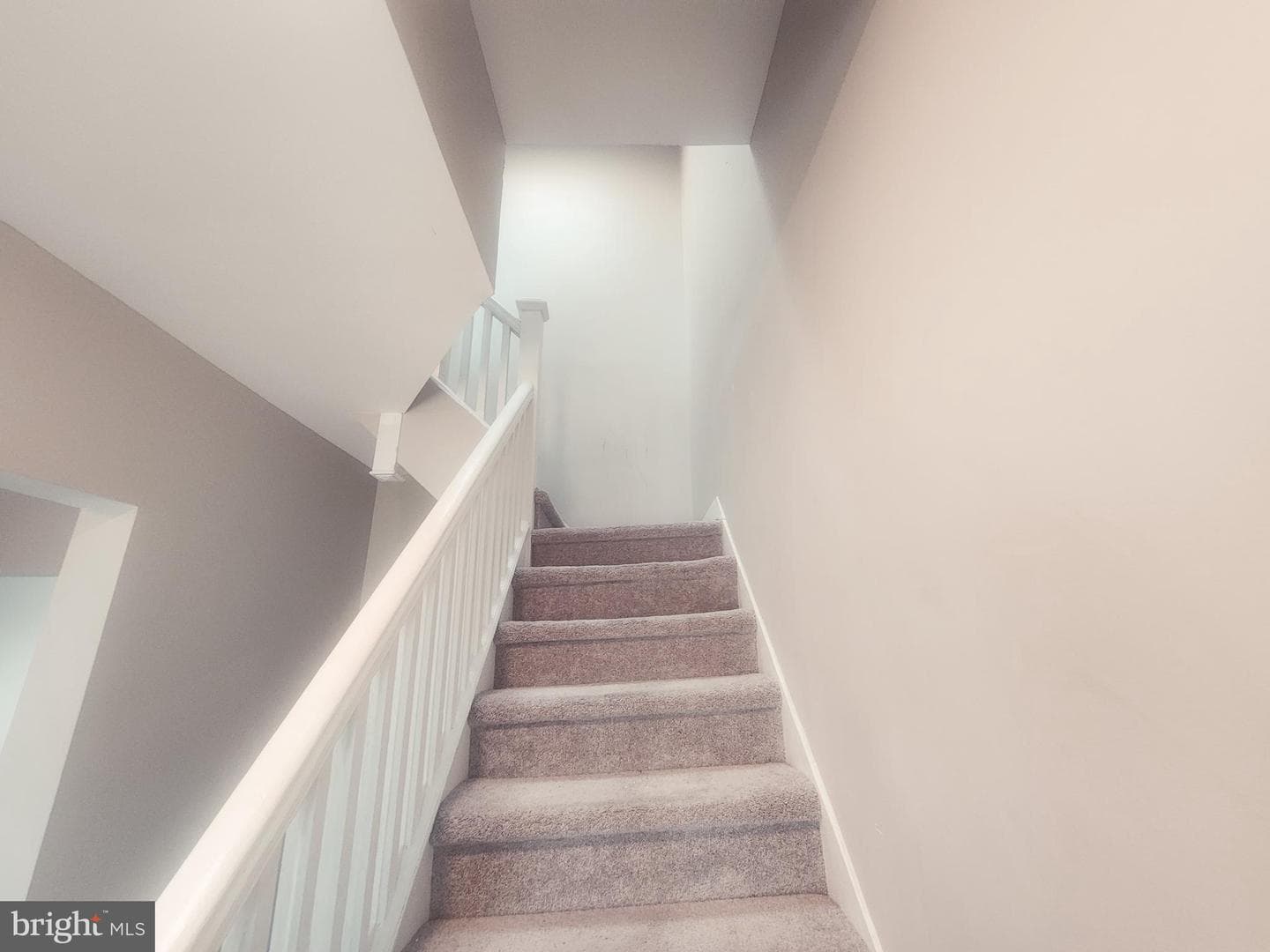 4211 Pimlico Road photo 7