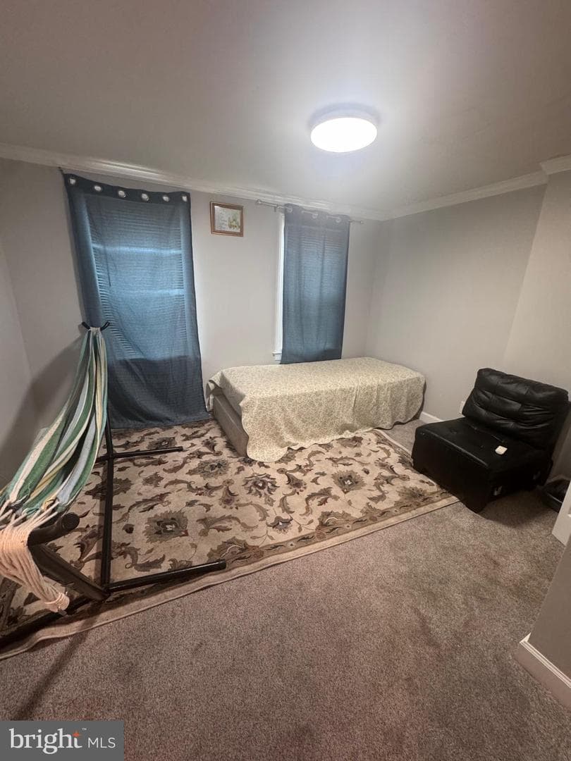 424 Freeman Street photo 13