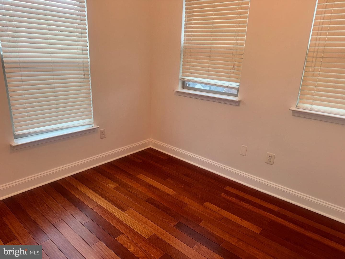 127 Albemarle Street #36 photo 17